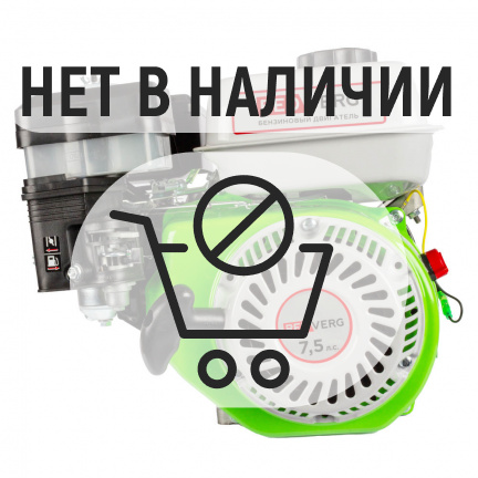 Двигатель бензиновый REDVERG RD-GE170-Q